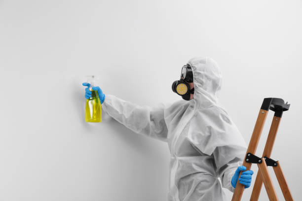 Why You Should Choose Our Mold Remediation Services in Baytown, TX